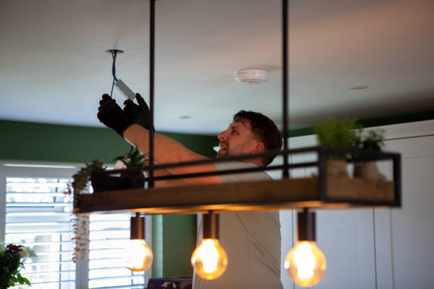 Best Ceiling Fan Installation Electrician  in Eyota, MN