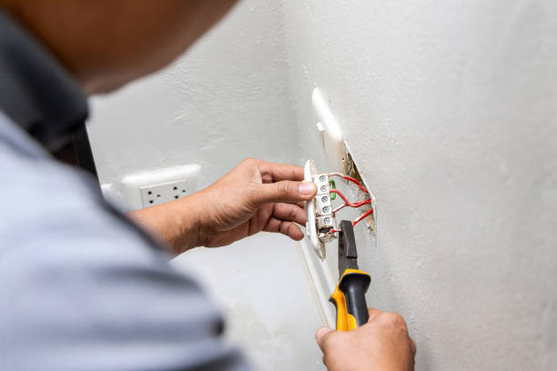 Best Licensed Electrician  in Eyota, MN